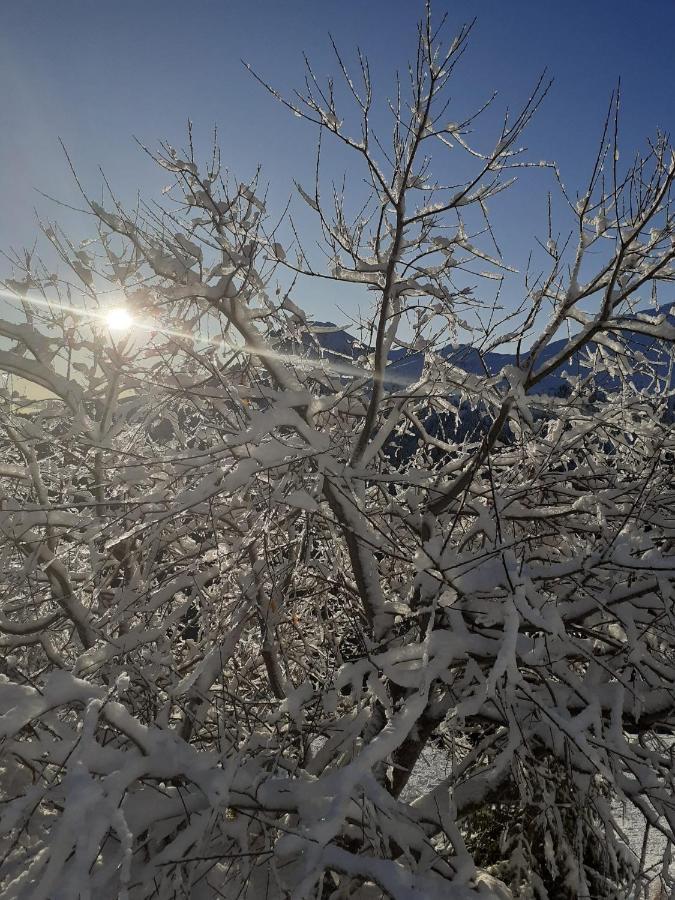 Huterhof Apt Wiesengrund 2 Riobianco エクステリア 写真